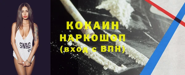 хмурый Алексин