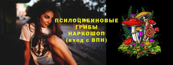 тгк Алзамай