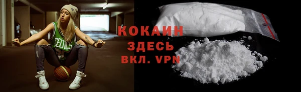 тгк Алзамай
