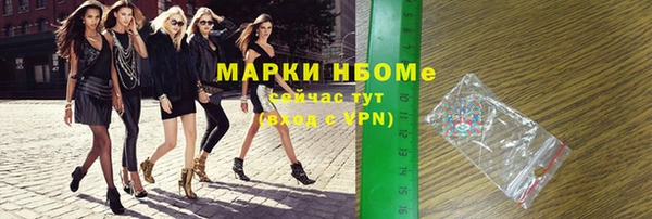 хмурый Алексин