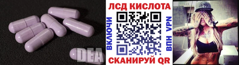 ЛСД экстази ecstasy  как найти закладки  Жуков 