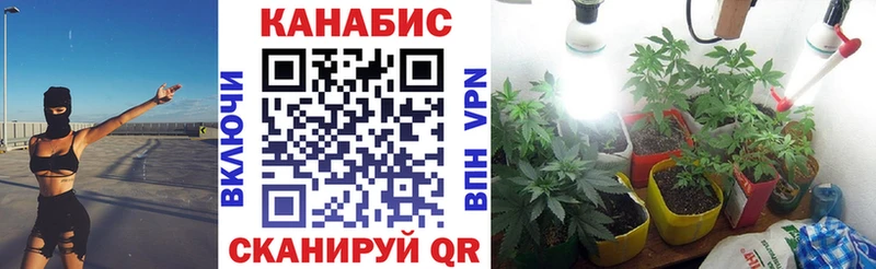 Канабис семена Жуков